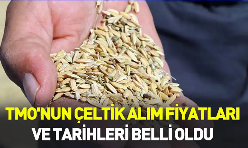 TMO'nun çeltik alım fiyatları ve tarihleri belli oldu