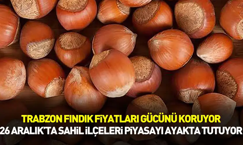Trabzon Fındık Fiyatları Gücünü Koruyor | 26 Aralık'ta Sahil İlçeleri Piyasayı Ayakta Tutuyor