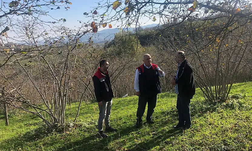 Üreticilere budama ve gübreleme anlatıldı