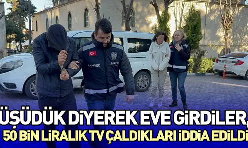 Üşüdük Diyerek Eve Girdiler, 50 Bin Liralık TV Çaldıkları İddia Edildi