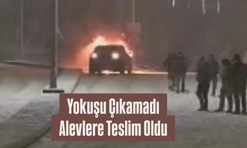 Yokuşu Çıkamadı, Alevlere Teslim Oldu