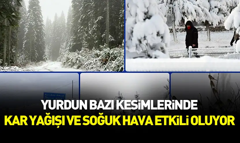 Yurdun bazı kesimlerinde kar yağışı ve soğuk hava etkili oluyor