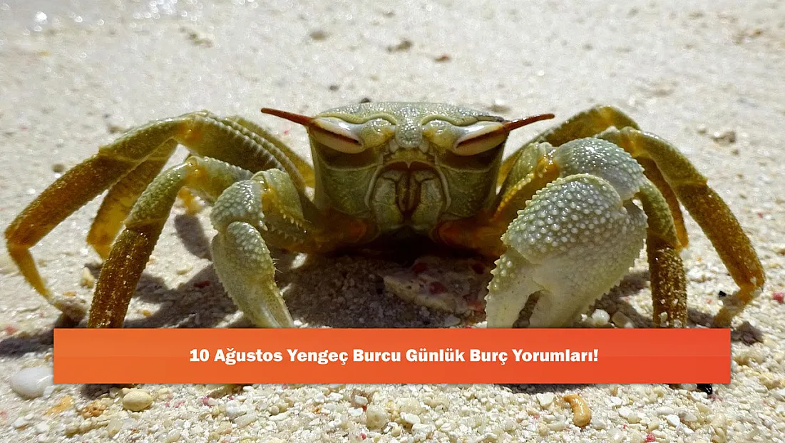 10 Ağustos Yengeç Burcu Günlük Burç Yorumları!