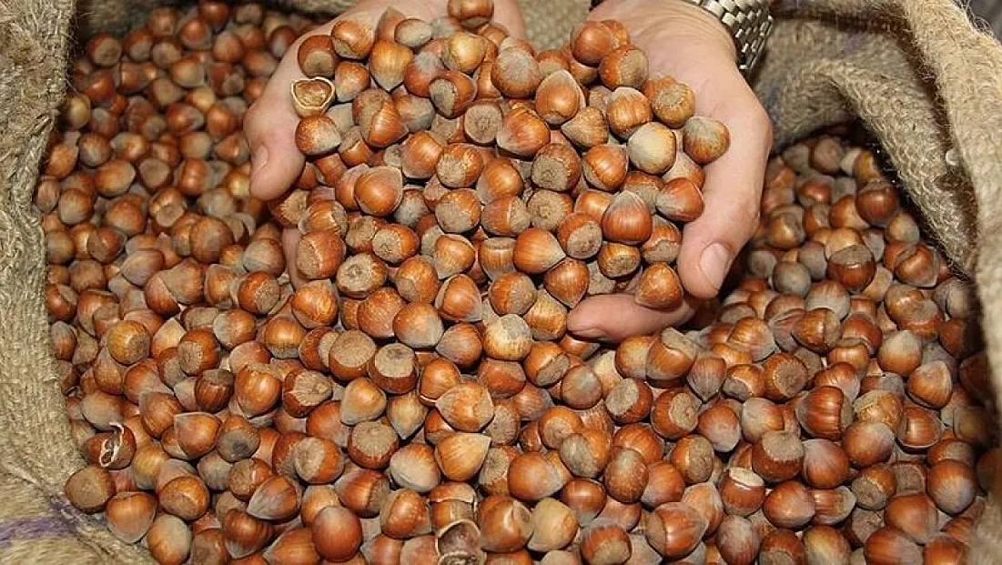 17 Şubat 2026 Zonguldak fındık fiyatları ne kadar?