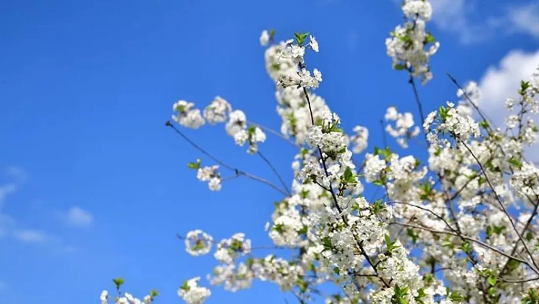 2026 Cemre Düşme Tarihleri Belli Oldu! İlk Cemre Ne Zaman, Nereye Düşecek? Havaya, Suya ve Toprağa Cemre Düşüş Sıralaması