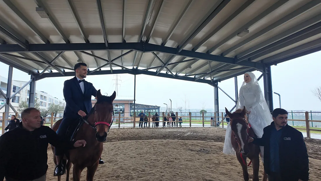 At üstünde dünya evine girdiler