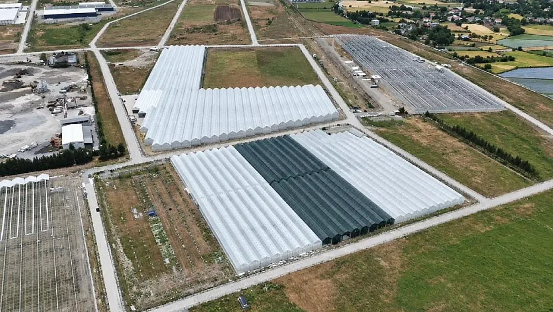 Bafra Sera OSB’de doluluk yüzde 85’e ulaştı