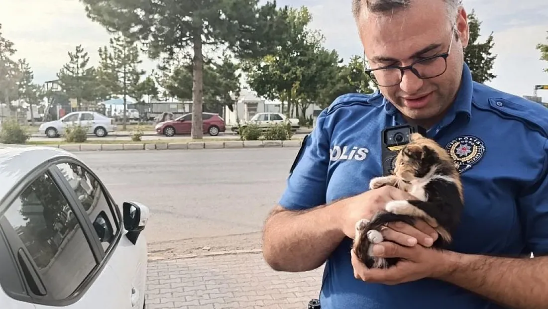 Beyşehir’de otomobilin motoruna giren yavru kedi için seferber oldular