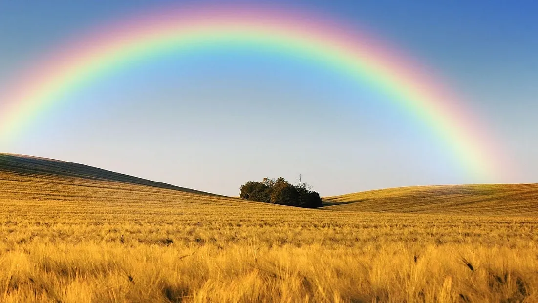 Gökkuşağı nasıl oluşur? İşte gökyüzünün renkli sırrı