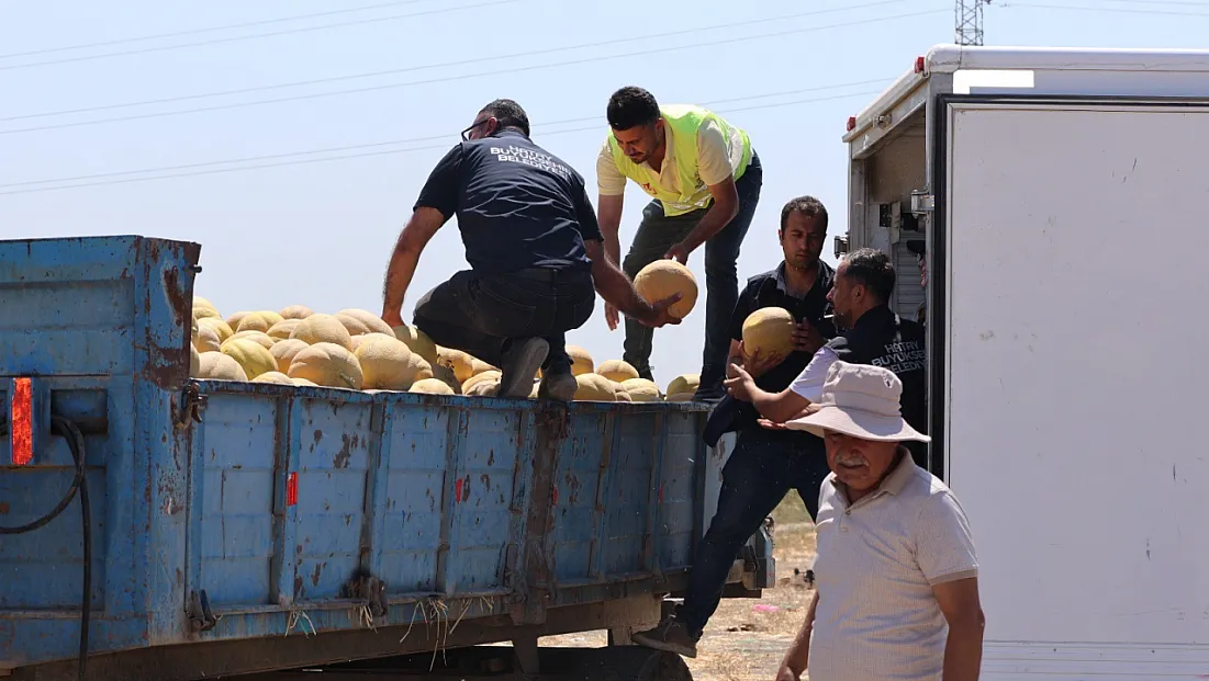 Hatay'da üreticiden alınan 100 ton kavun depremzedelere dağıtıldı