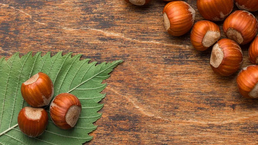 Kocaeli’de fındık fiyatları netleşti: İşte güncel fiyat listesi