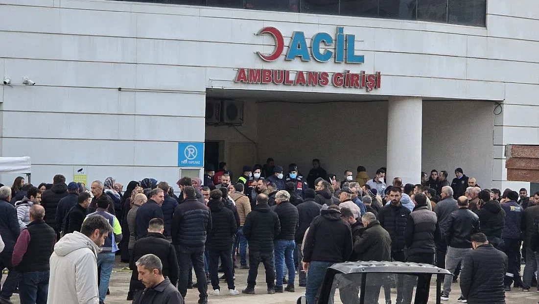 Kurtarmaya girdiler, zehirlenerek can verdiler