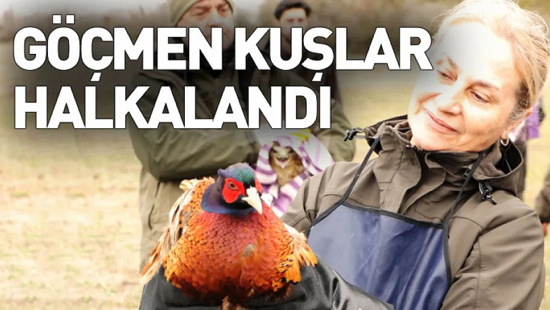 81 binden fazla göçmen kuş halkalandı