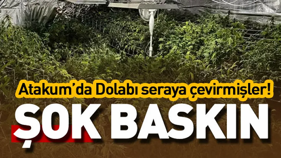 Atakum’da şok baskın : Dolabı seraya çevirmişler!