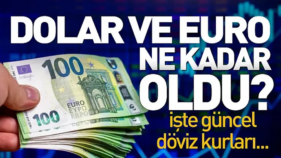 Dolar ve Euro’da hafta sonu sakinliği
