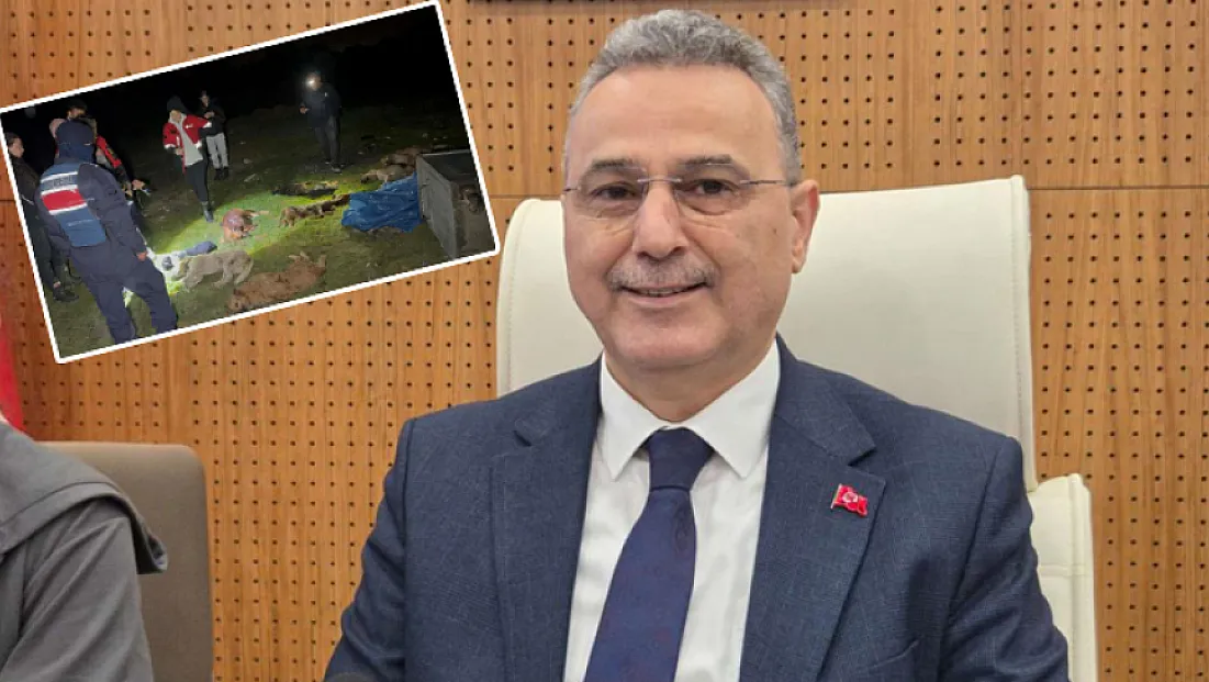 İlkadım Belediye Başkanı Kurnaz’dan Telef Olan Köpeklerle İlgili Açıklama