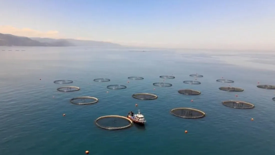 Karadeniz’in kıyısında dev yatırım:Samsun, su ürünleri ihracatında gücünü artırıyor