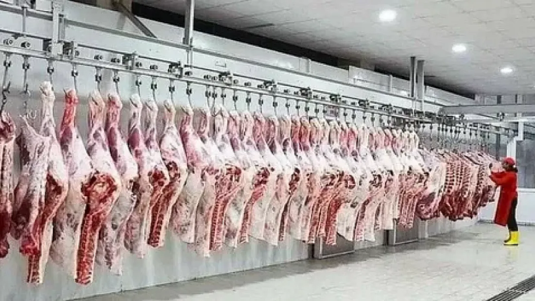 Kesimhanelere 7/24 Kamera ve 'Eziyetsiz Kesim' Zorunluluğu