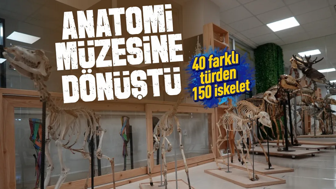 OMÜ Veteriner Fakültesinde Anatomi Müzesi açıldı