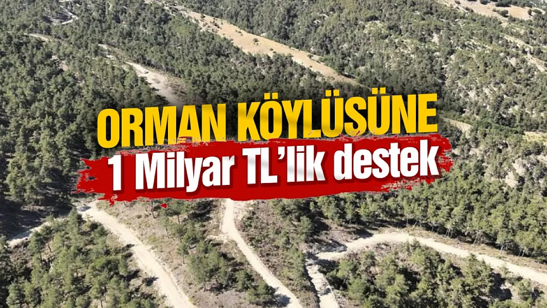 Orman köylülerine endüstriyel odundan 1 milyar TL'lik katkı