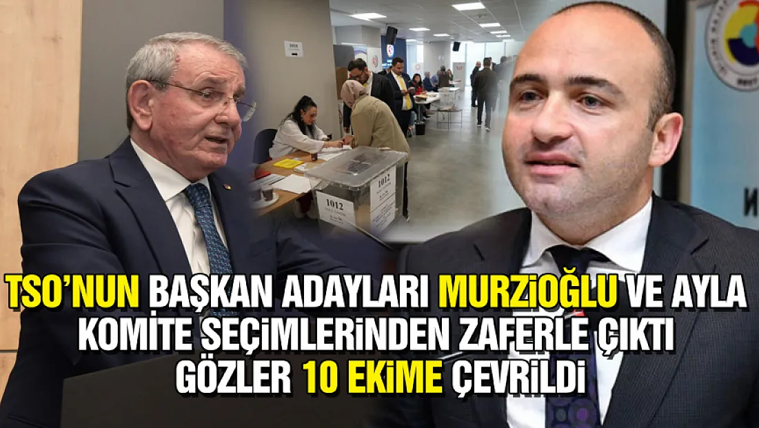 Samsun TSO'da komite seçimleri tamamlandı