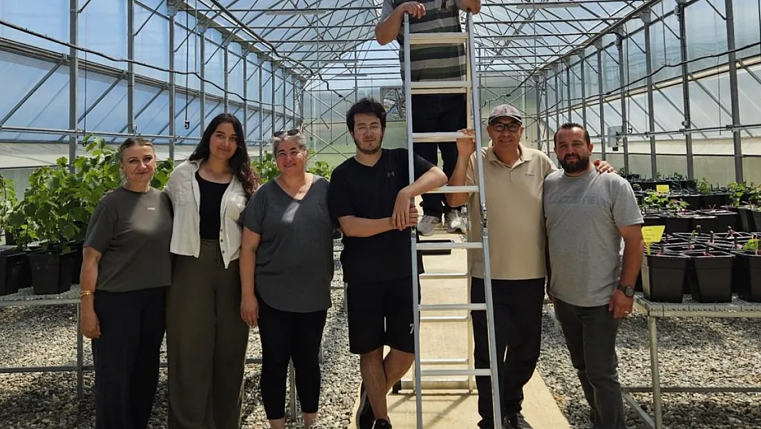 OMÜ'de Trüf Mantarı Fidanlarına Sıcaklık Kalkanı
