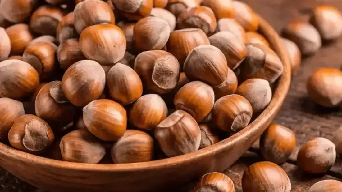 Sakarya’da fındın fiyatları yükseliyor: İşte güncel fiyat listesi