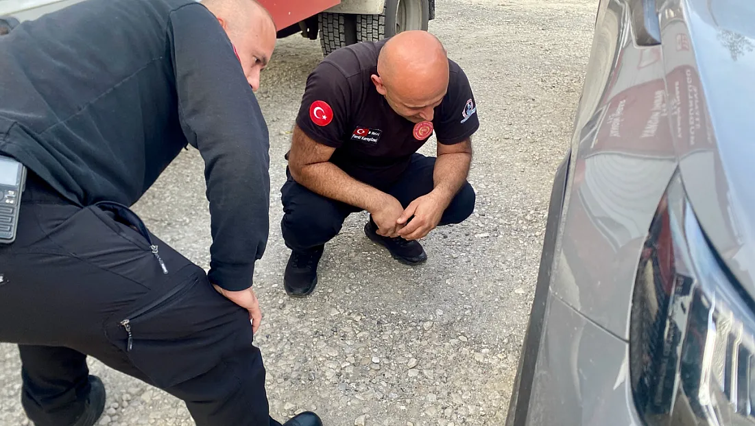 Düzce'de otomobilin motoruna sıkışan yavru kedi kurtarıldı