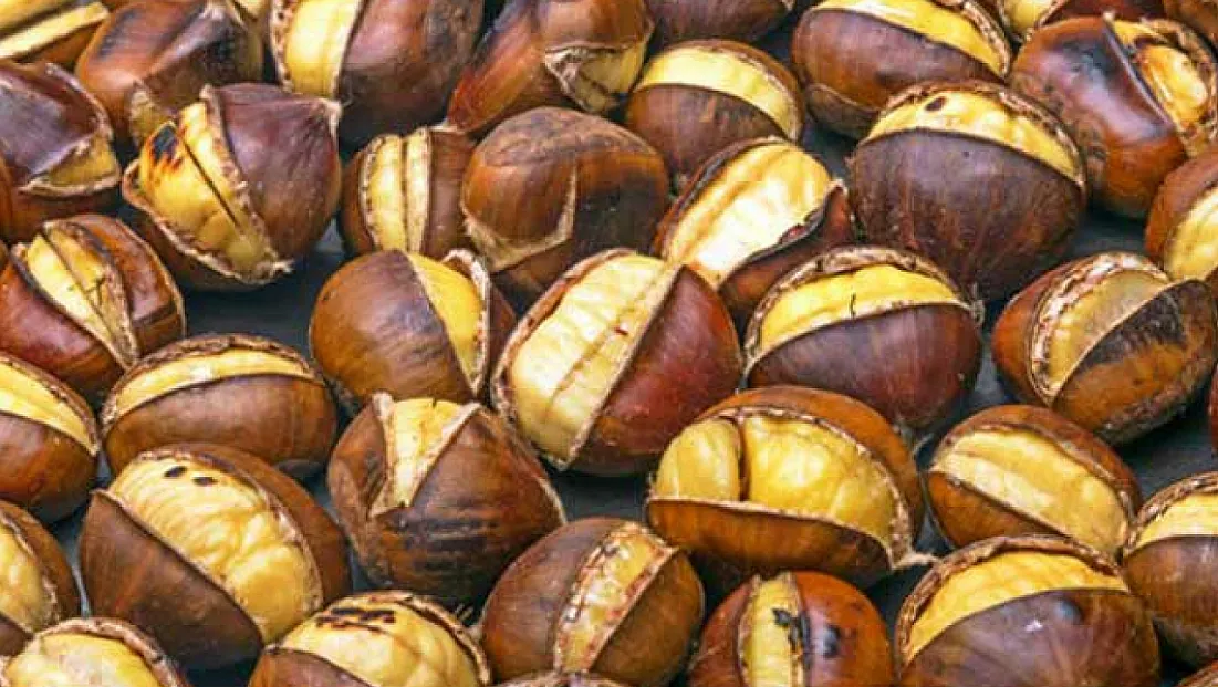 Samsun’da Bu Yıl Kestane Oldu mu?