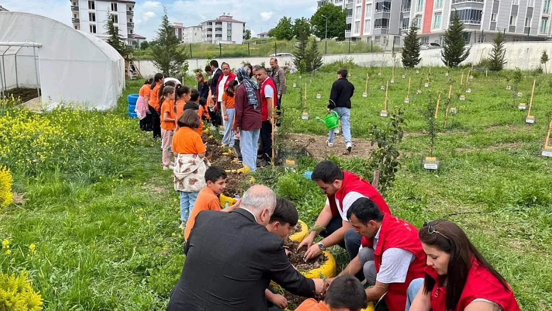 Samsun’da öğrenciler lavanta dikimi yaptı