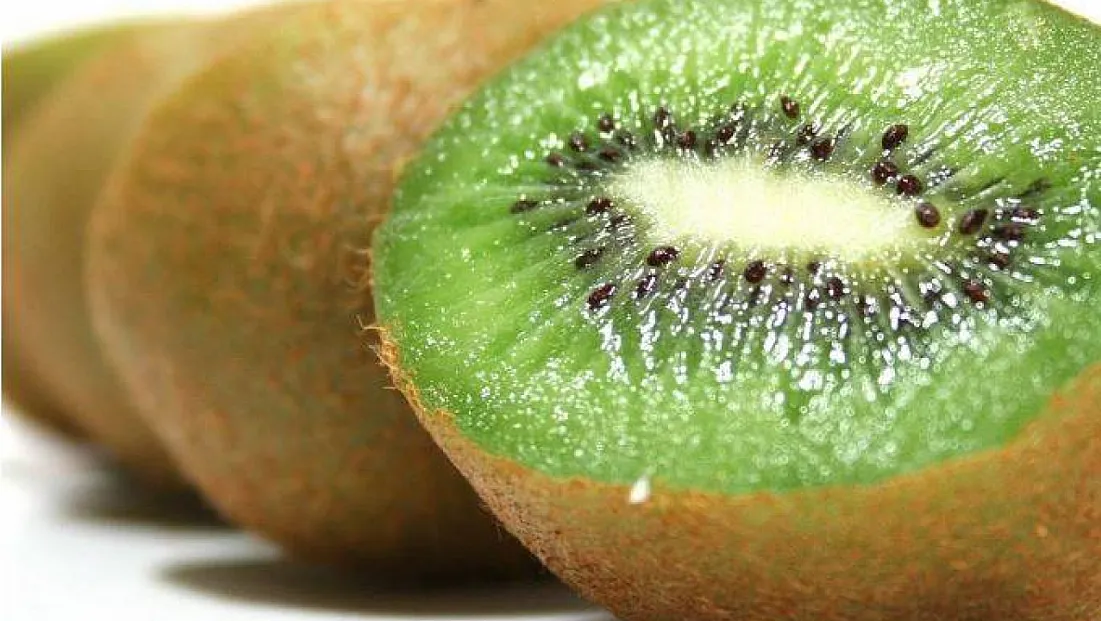 Türkiye’nin kivi ambarı Çarşamba’da neden kivi tercih ediliyor?