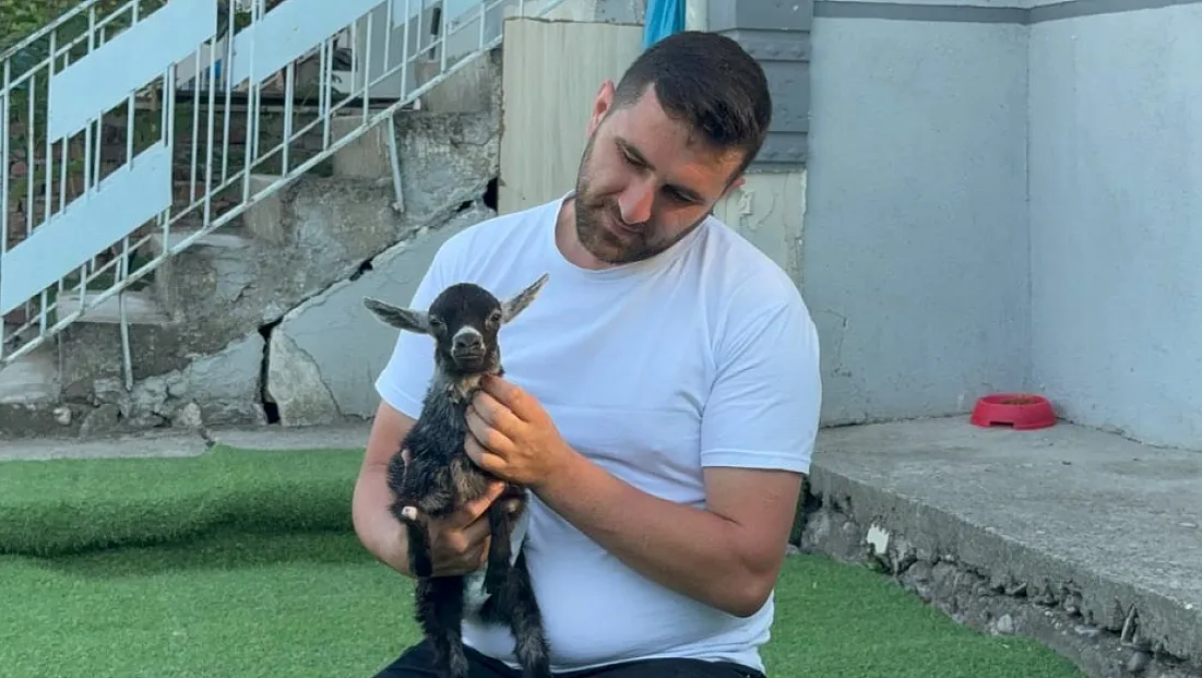 Yem almaya gittiler, engelli keçiyi sahiplendiler