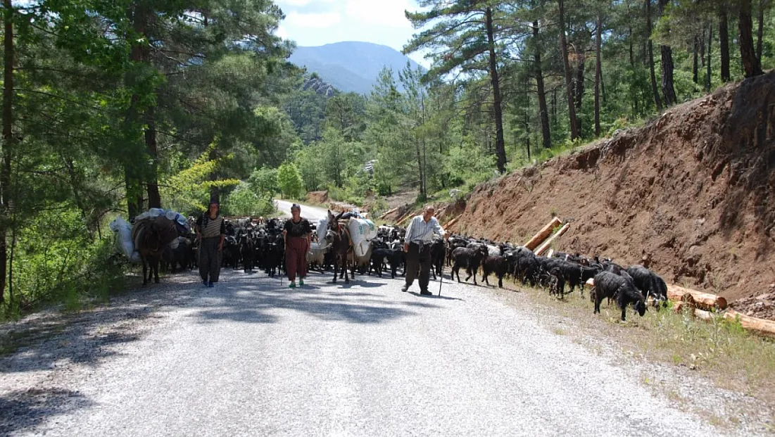 Yörüklerin Toroslar’dan sahile dönüş yolculuğu başladı