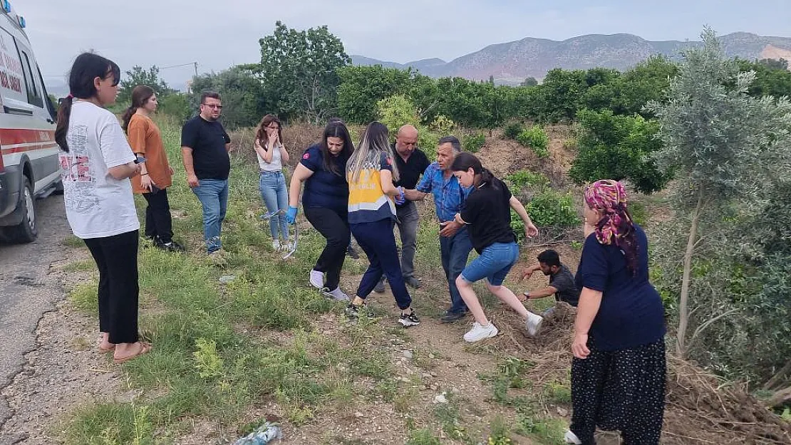 Ağaç ve emniyet kemeri hayat kurtardı