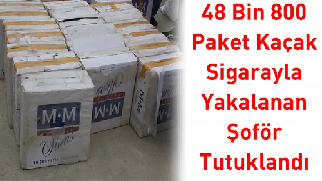 48 Bin 800 Paket Kaçak Sigarayla Yakalanan Şoför Tutuklandı