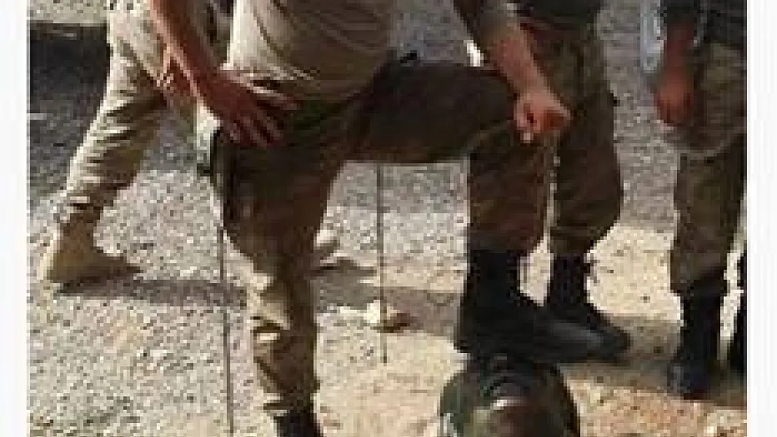Lice'de Askerler Mahsum Korkmaz'ın Heykeliyle Fotoğraf Çektirdi