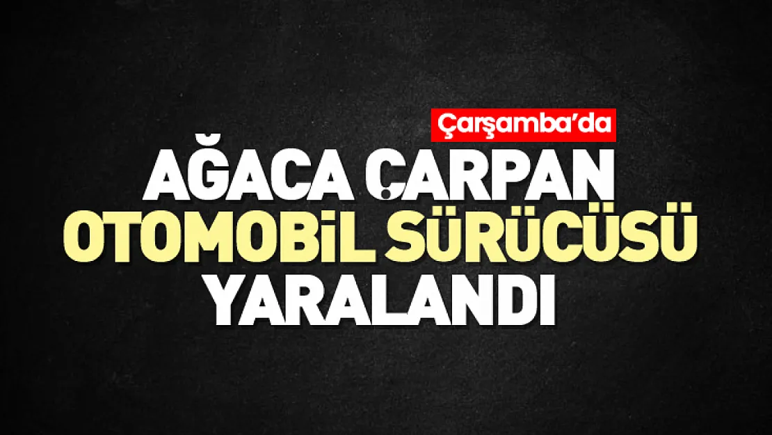 Ağaca çarpan sürücüsü yaralandı