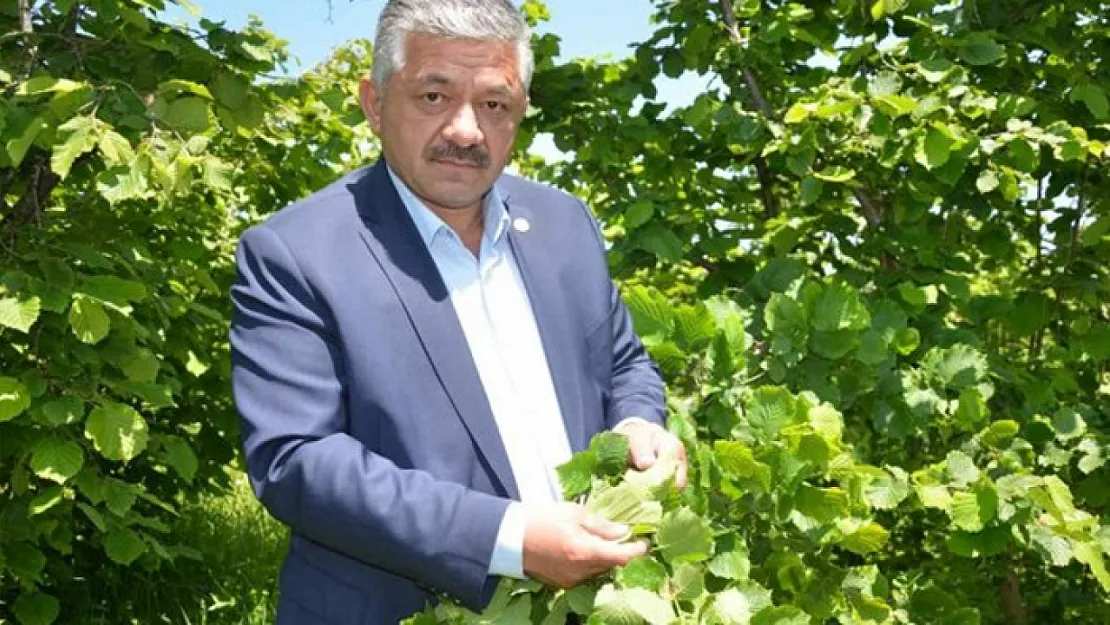 Arslan Soydan'dan Fındık Üreticisine Uyarı: 'Dik Durun, Acele Etmeyin'