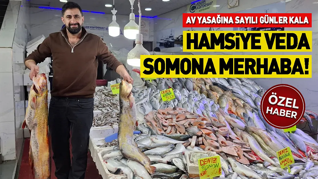 Av yasağına sayılı günler kala hamsiye veda, somona merhaba!