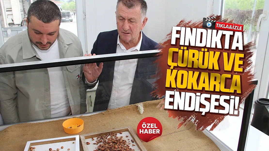 Aydemir: Üreticilerimiz fındığını mutlaka seçsin