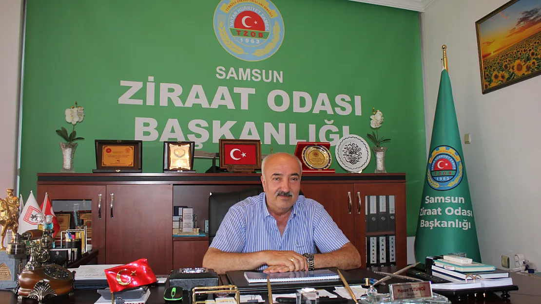 Başkan Tütüncü'den fındık üreticilerine uyarı  'Sabırlı olun, alın terinizi alın!'