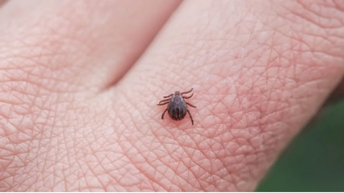 Biyolojik saldırı mı?