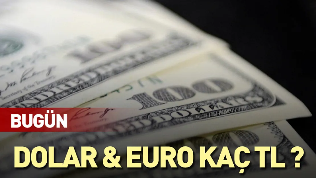 Bugün dolar ve euro kaç tl ?