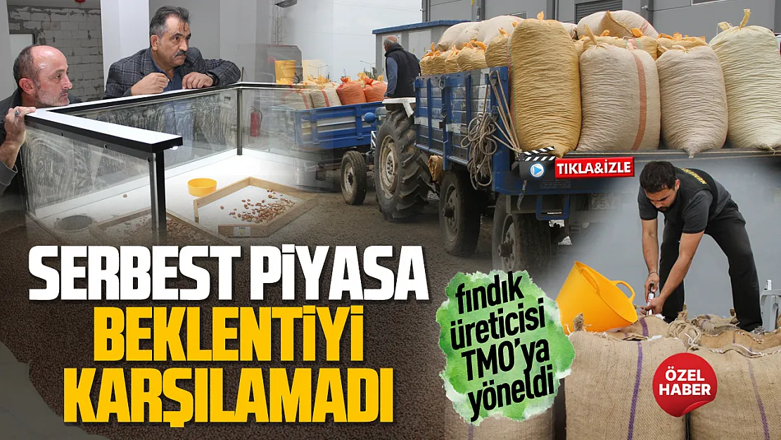 Çarşamba'da TMO alım noktalarında yoğunluk yaşanıyor