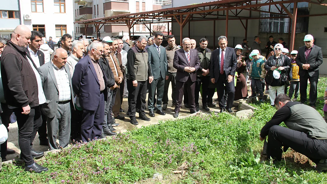 Çarşamba'da 'Türkiye'nin Gücü Orman' etkinliği