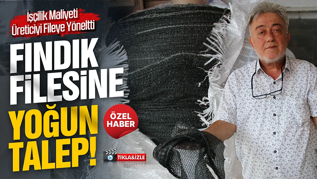 Fındıkta fileye rağbet arttı