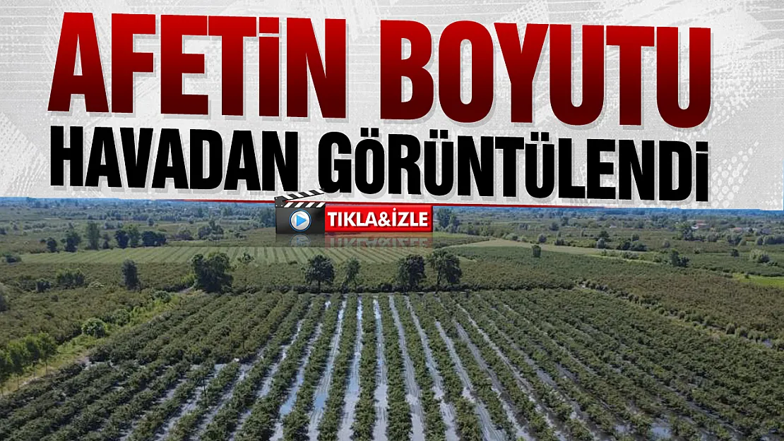 Hasada hazırlanan fındık bahçelerini sağanak vurdu