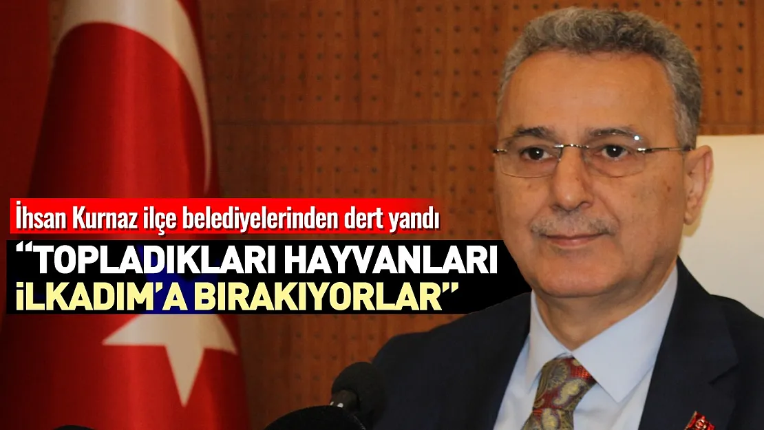 İhsan Kurnaz, 'Topladıkları hayvanları İlkadım'a getiriyorlar'