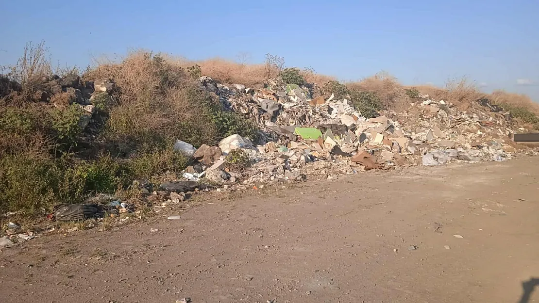 Sahil Çöp Kamyonlarına Kurban ediliyor