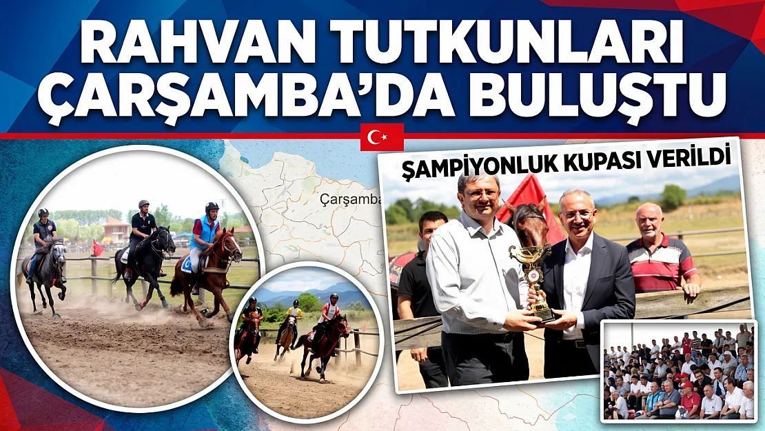 Samsun Çarşamba'da 63 at 7 kategoride kıyasıya yarıştı
